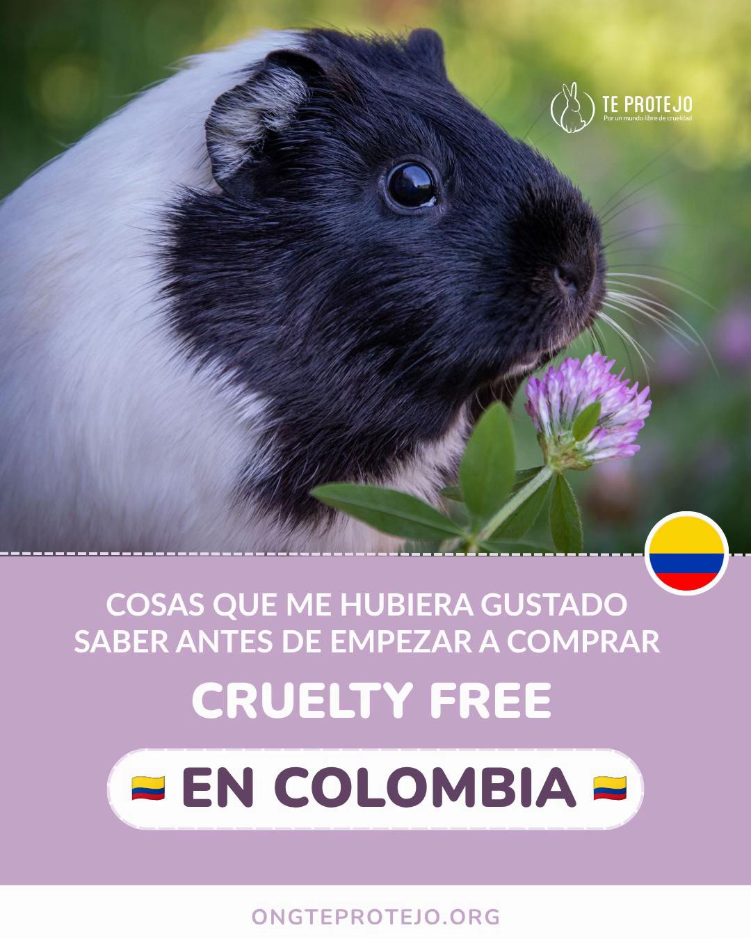 @Te Protejo