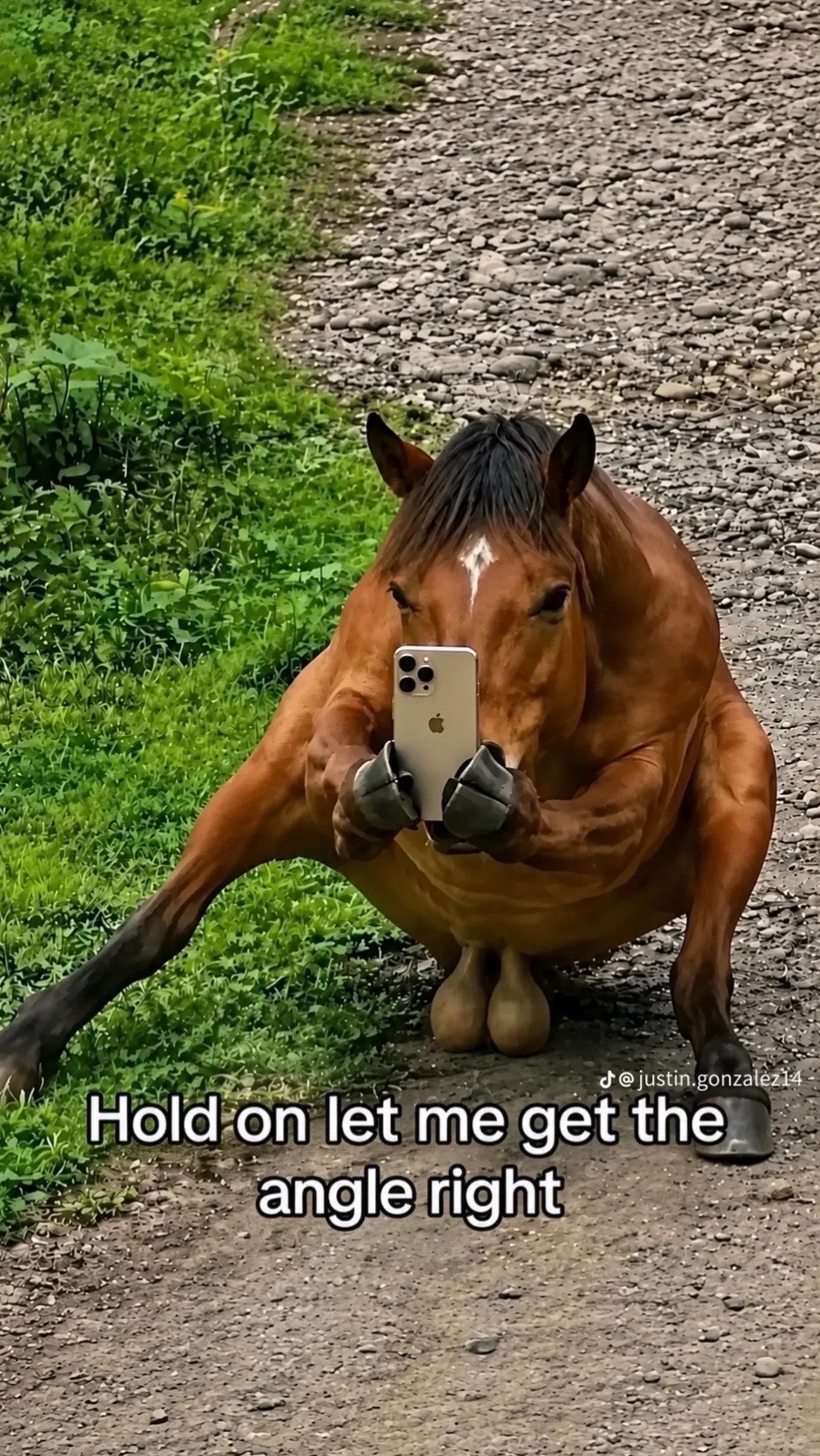 @🃏That_clappedout_6.0🃏