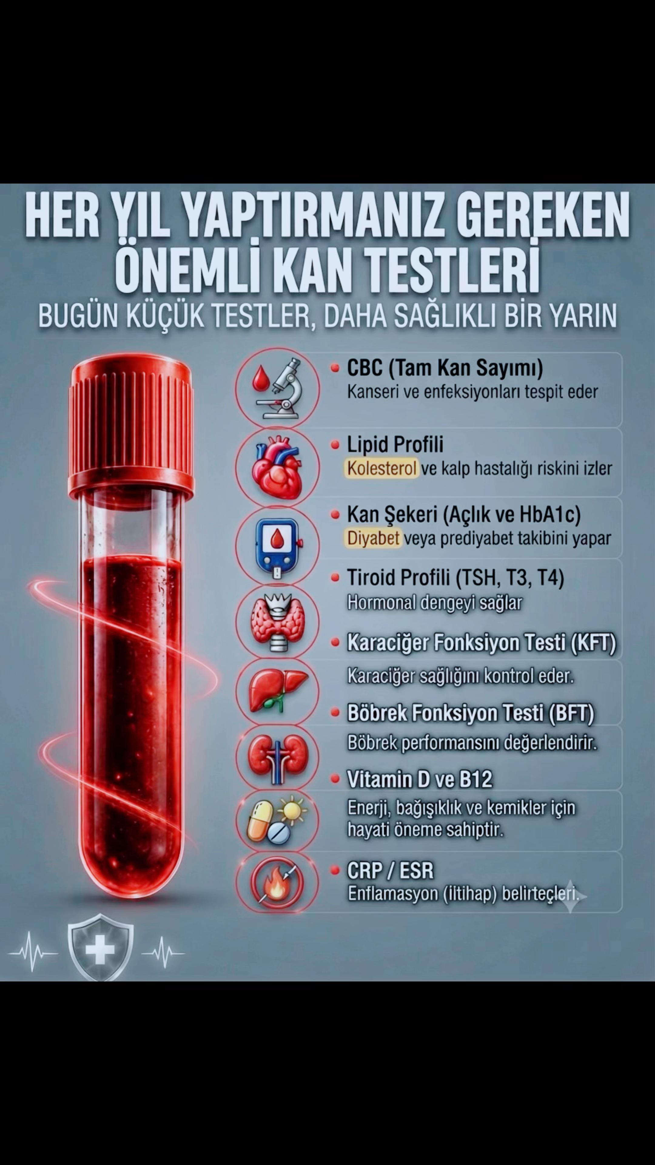 @Dr. Beşir Şahin İnceer