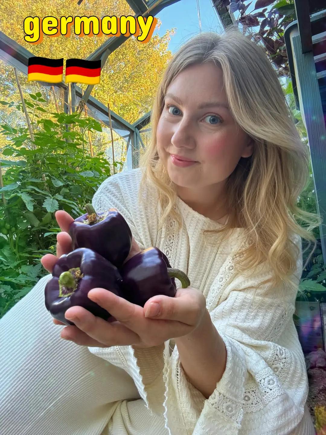 @Germany🇩🇪photograper