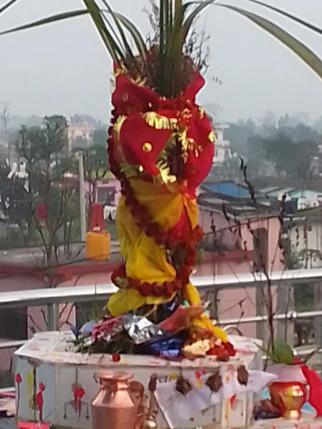 @Sita Rawal
