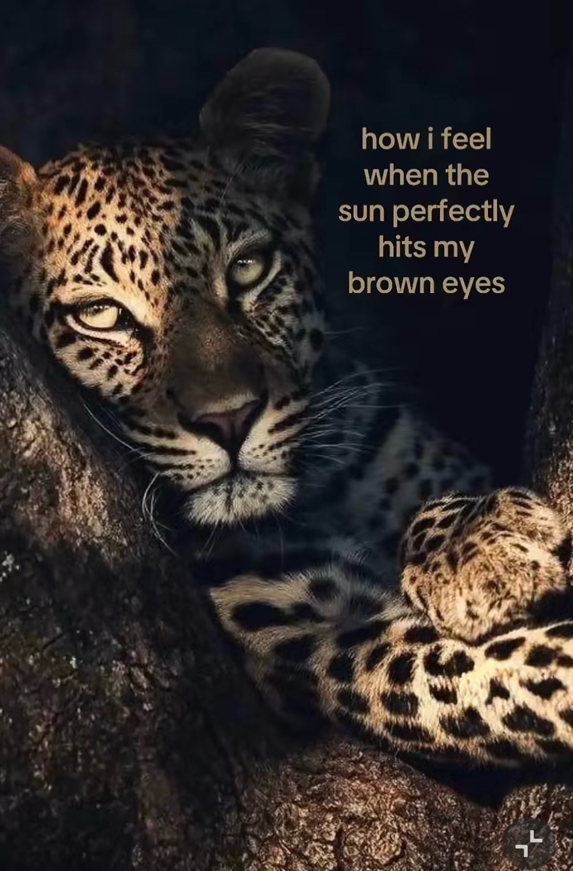 @ 