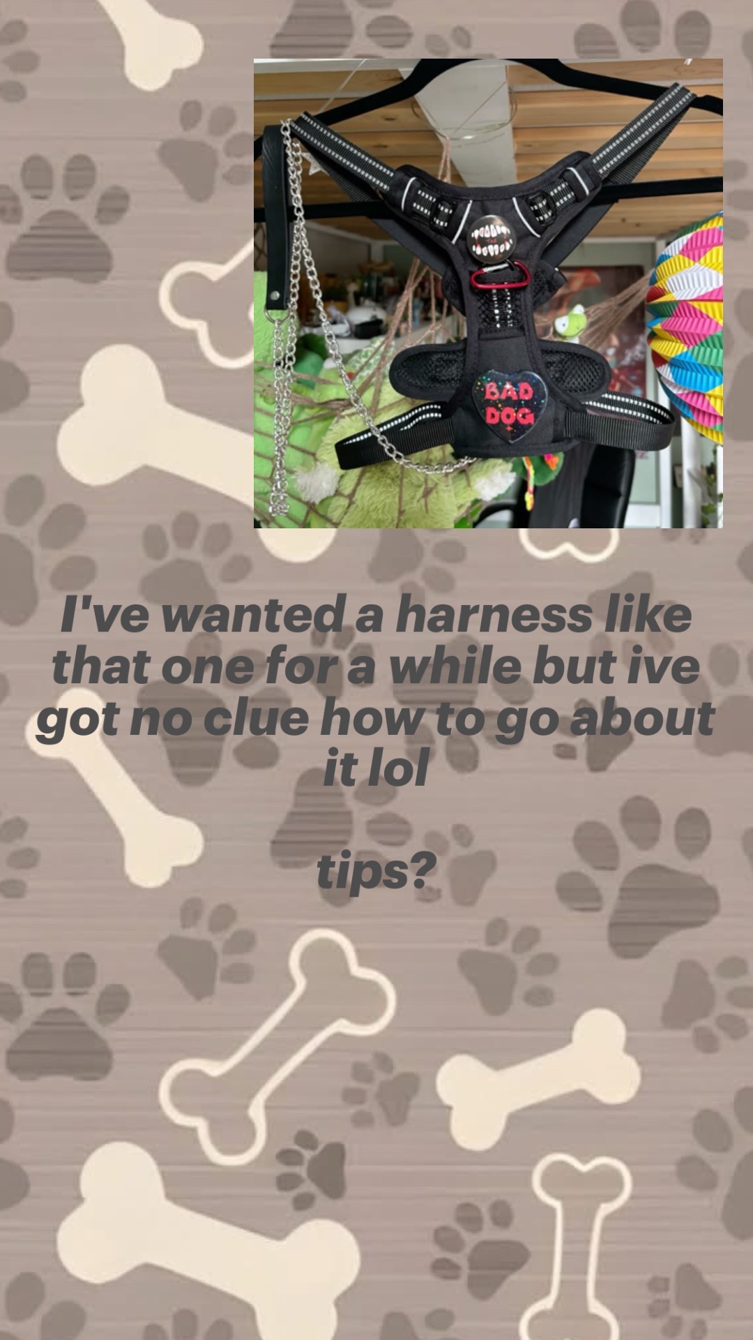 @Charlie the Forest Creature