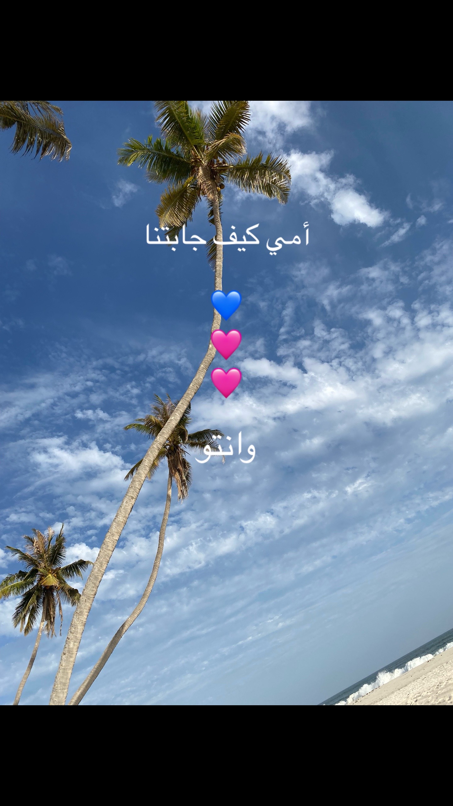 @ARAR.123456