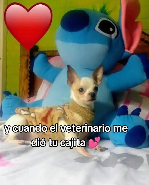 @Emy Lopez