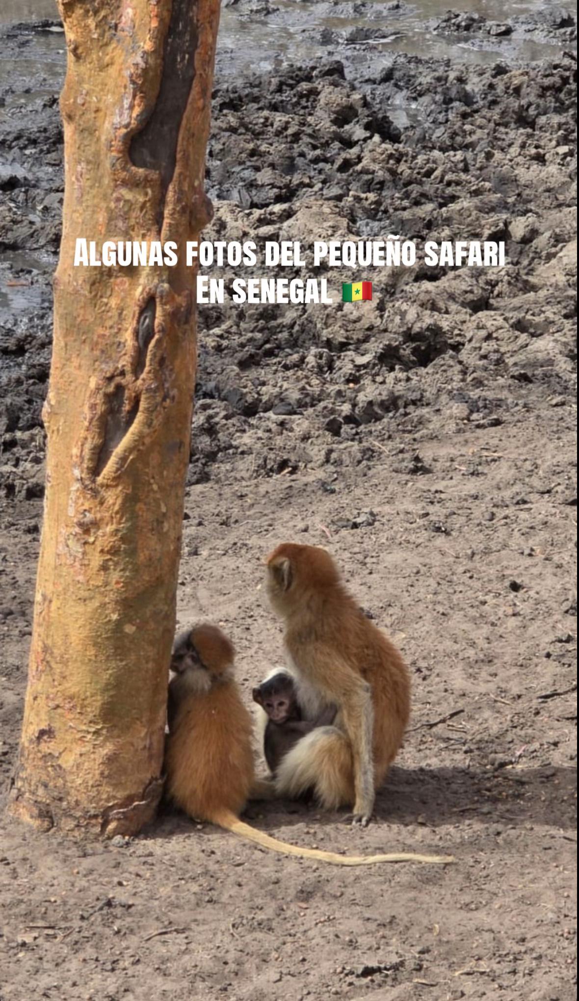 @euleuk.senegal