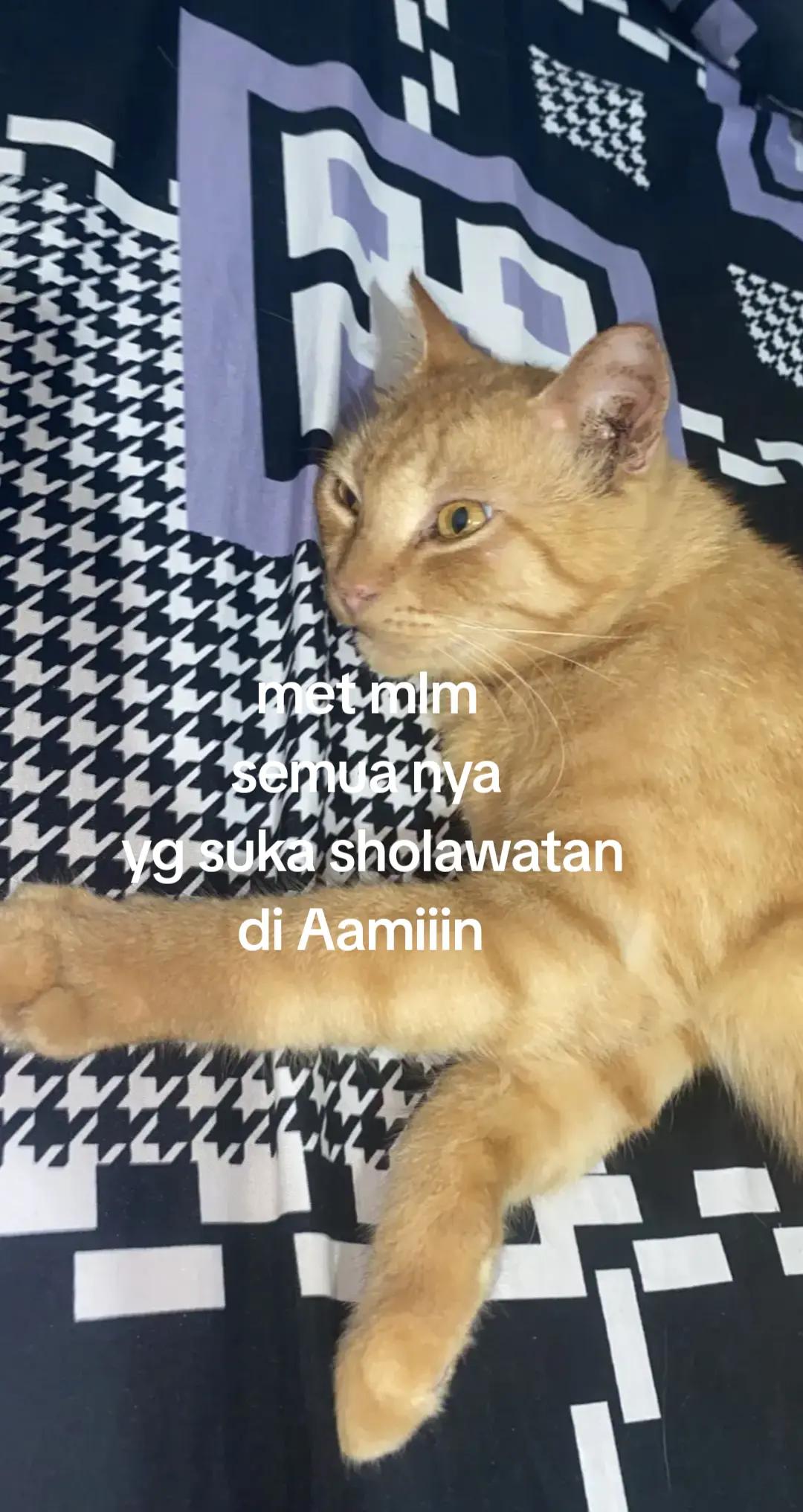 @Luzy