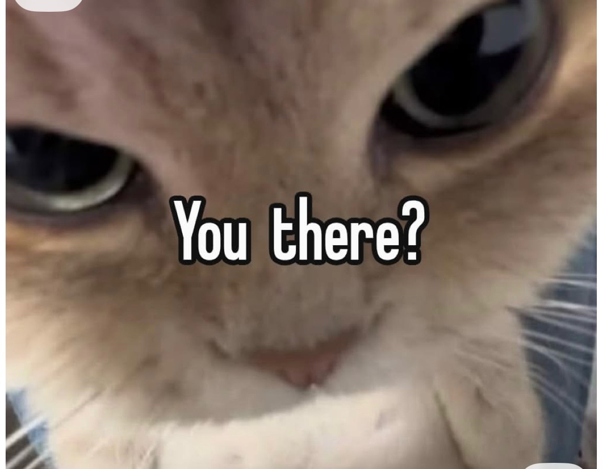 @Bratcats