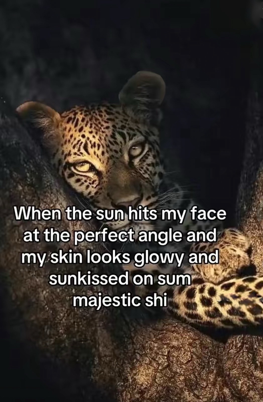 @WOWZZA