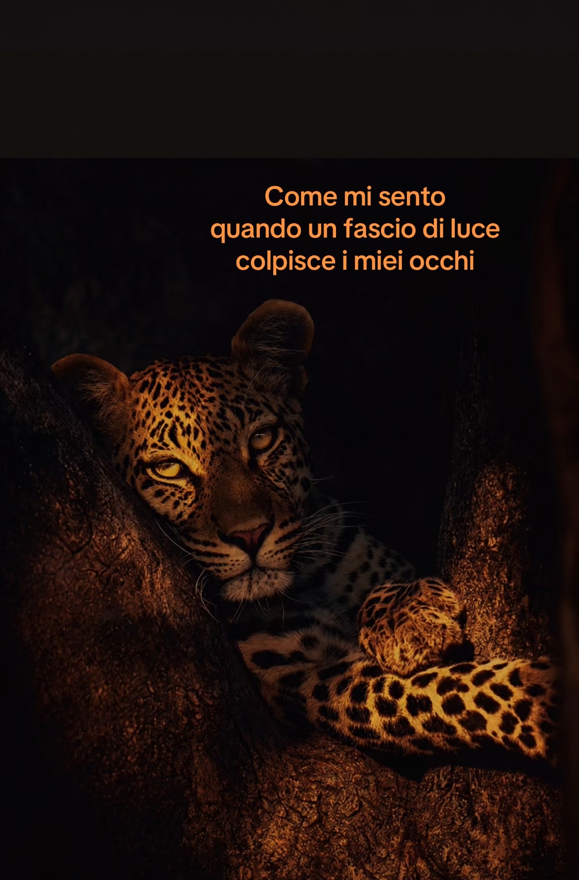 @Francesca_Lanza❤️