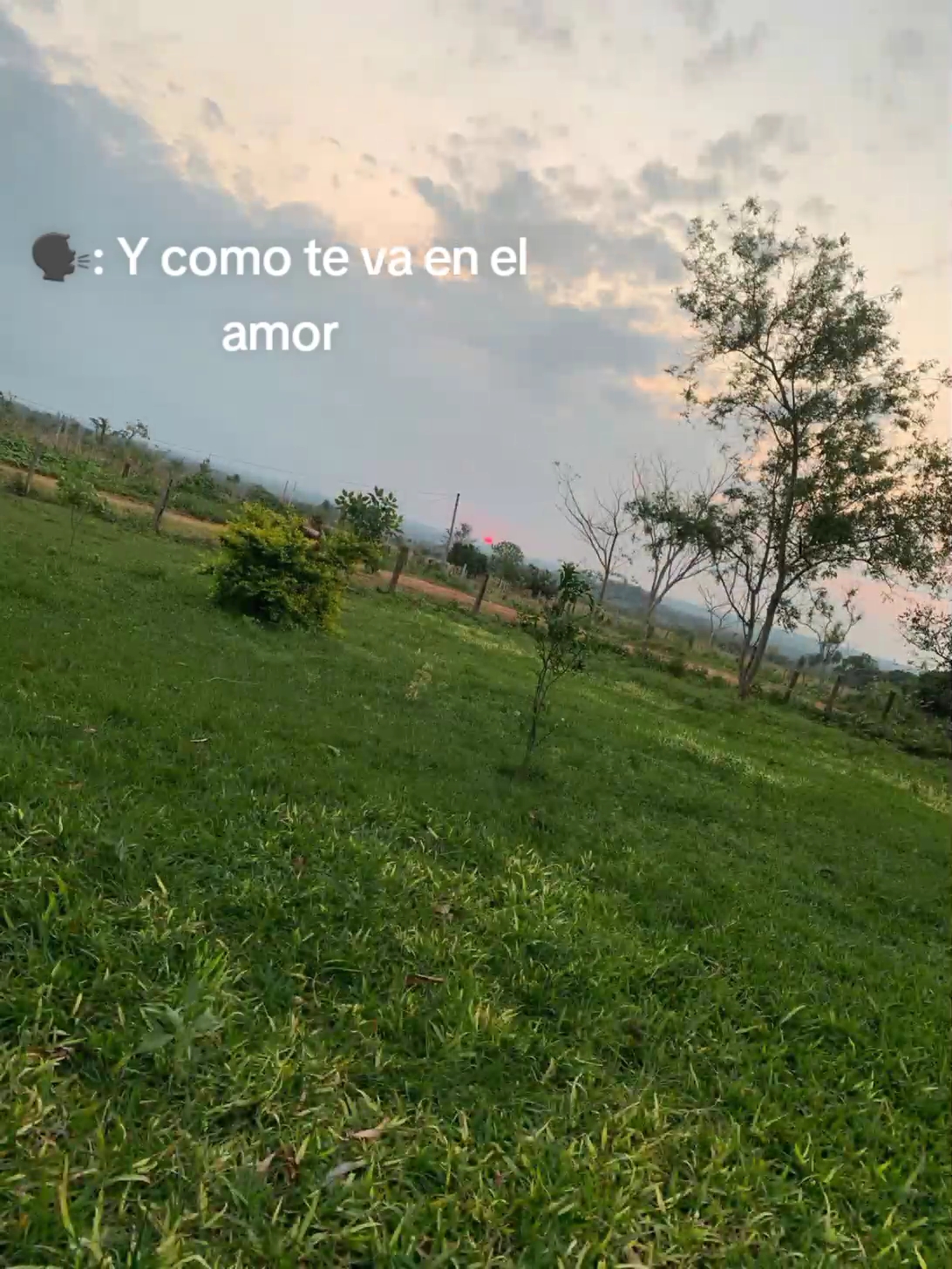 @Frases 🌹🥀