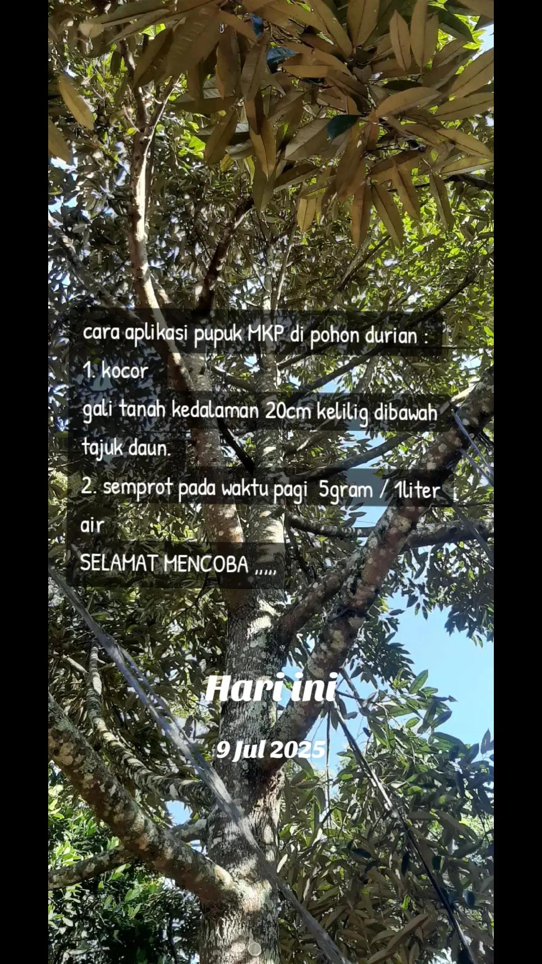 @Dyo Hardy