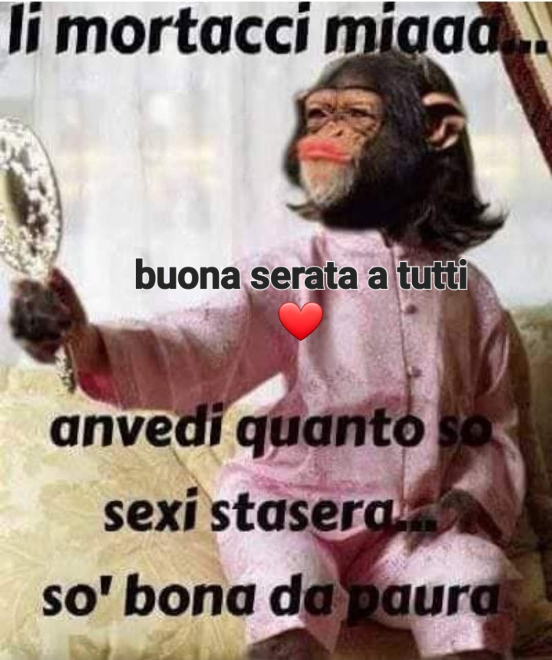@luciasantorino6