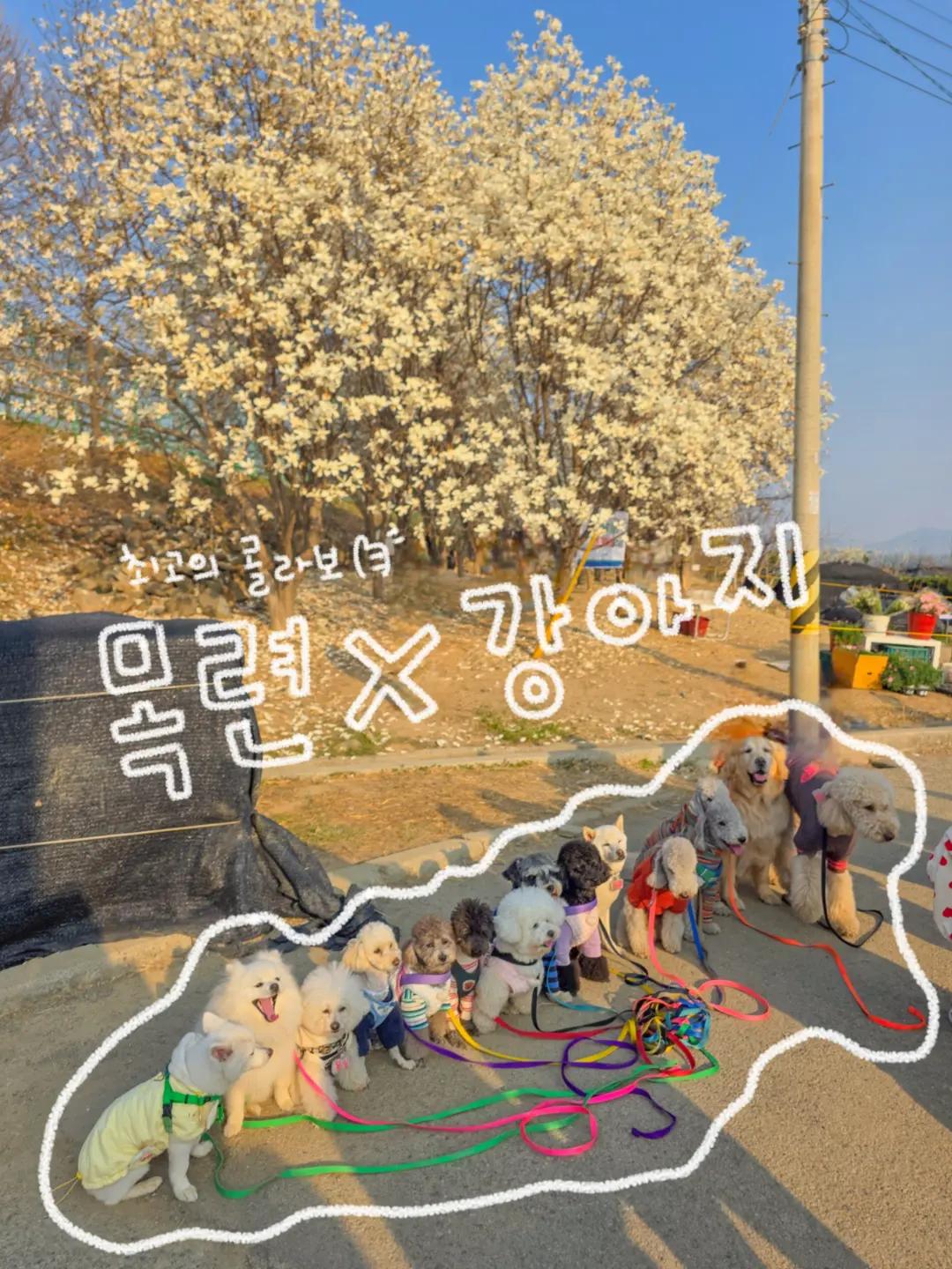 @오늘의 금지