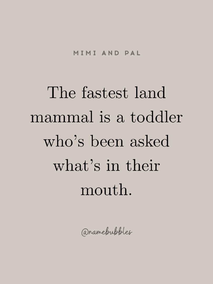 @mimiandpal