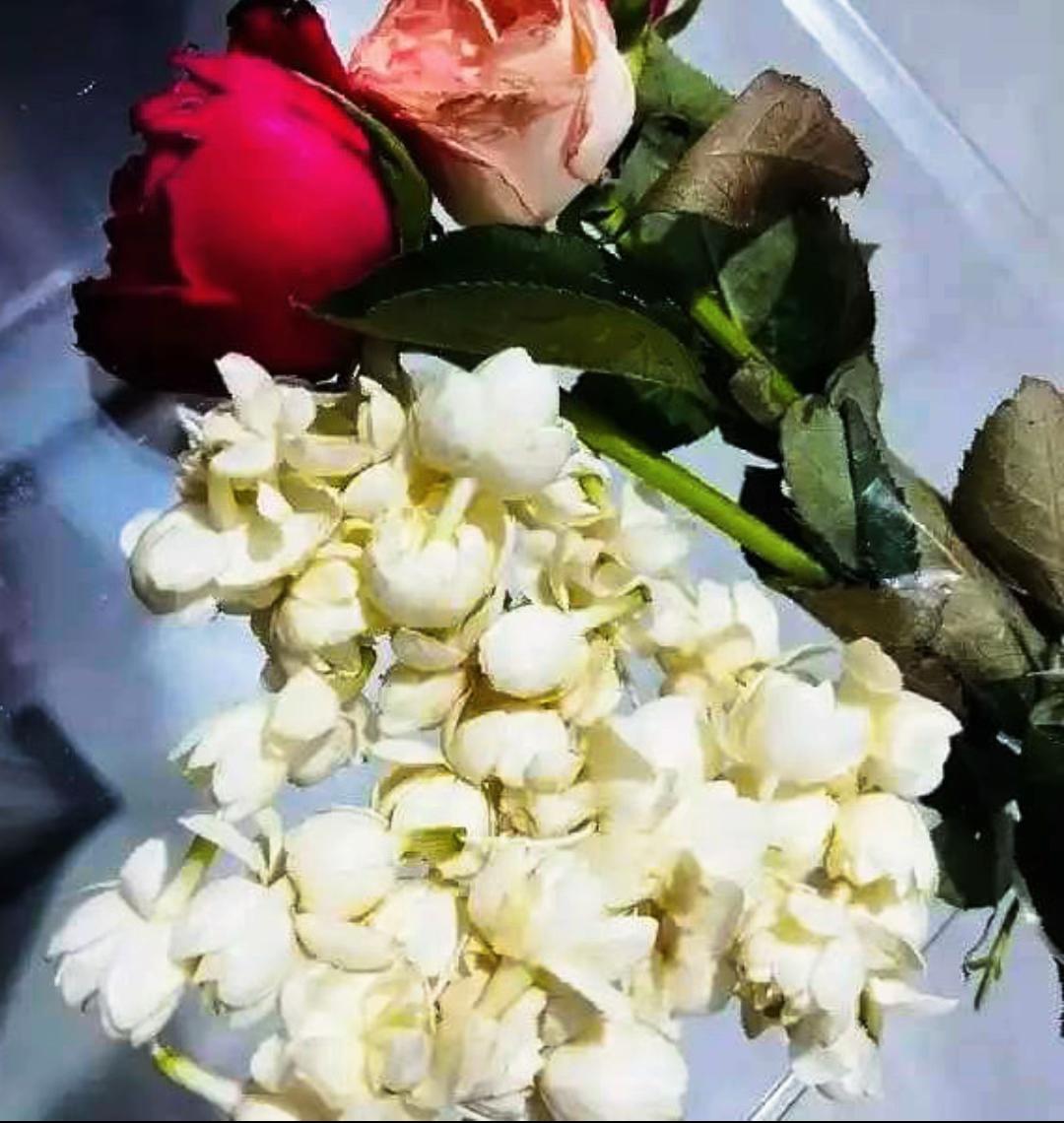 @Oishi_Jahan