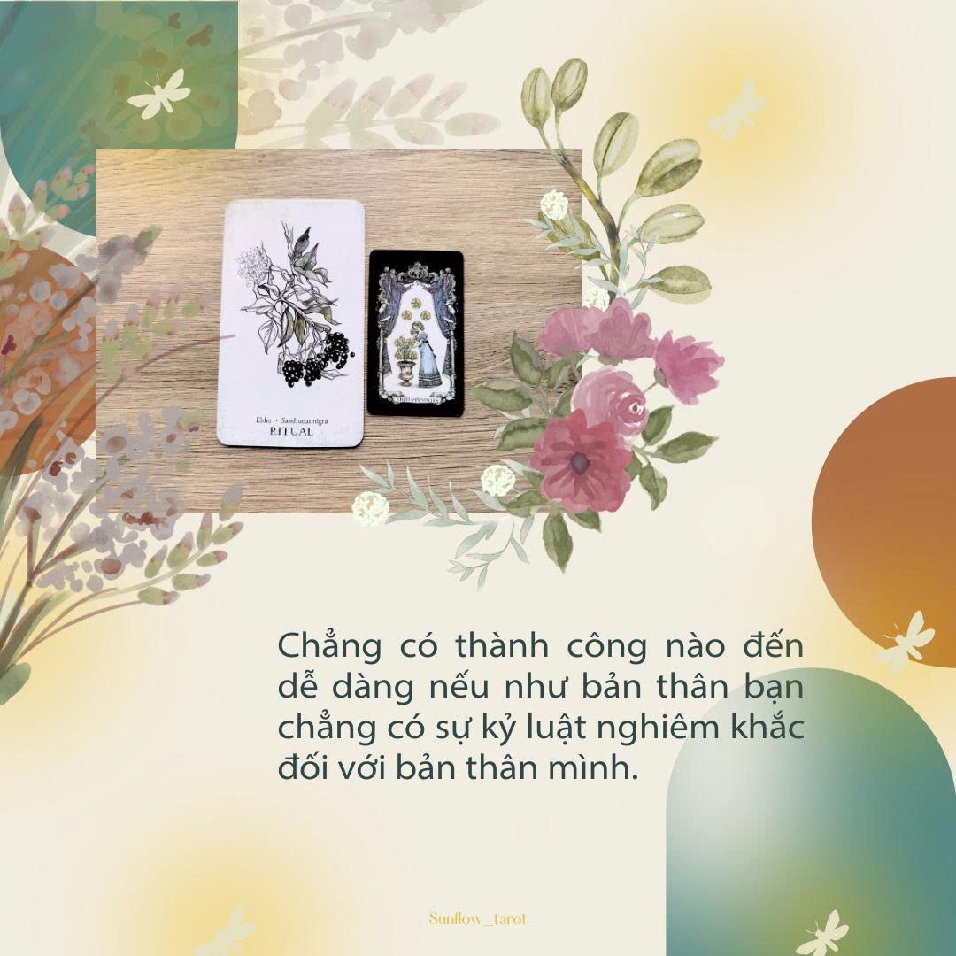 @sunflow_tarot