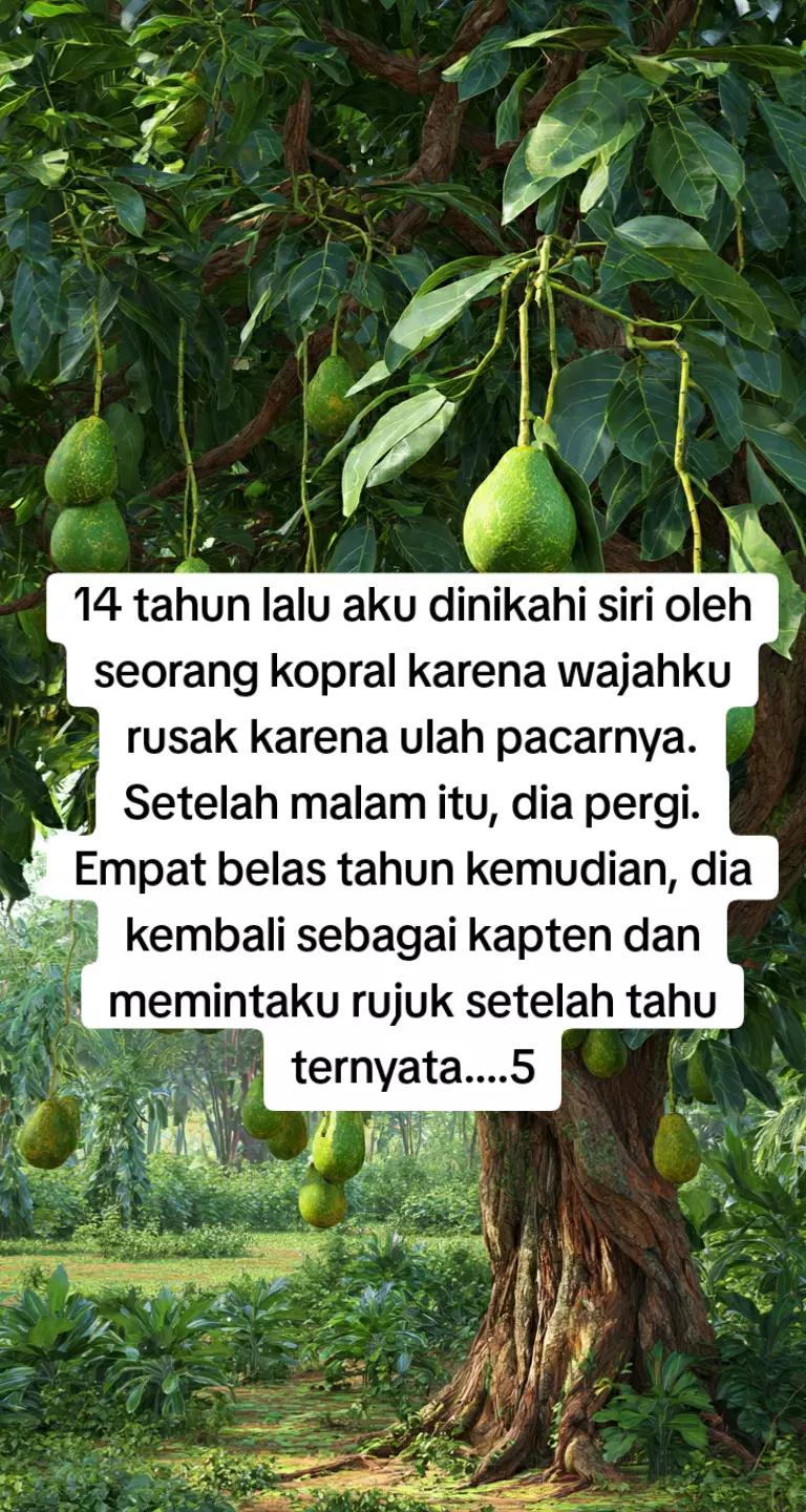 @Promosi Novel Online