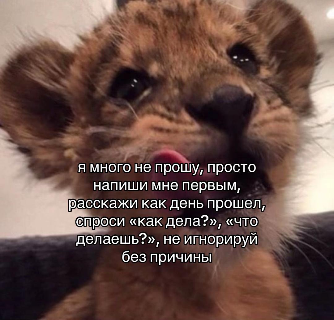 @мира