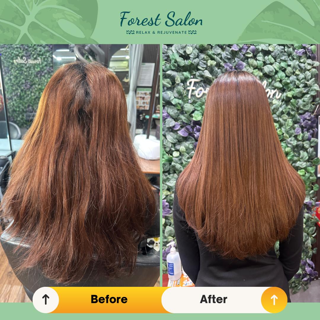 @Forest Salon SG