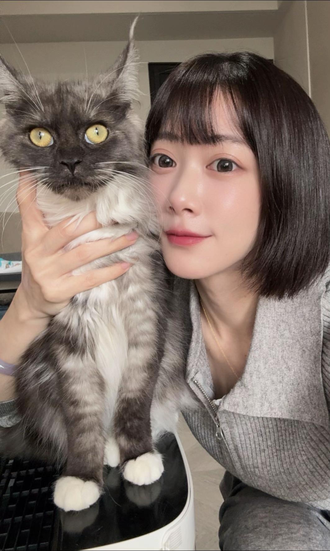 @Meow