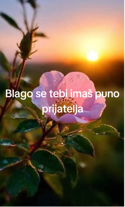 @Jovana Lugonja