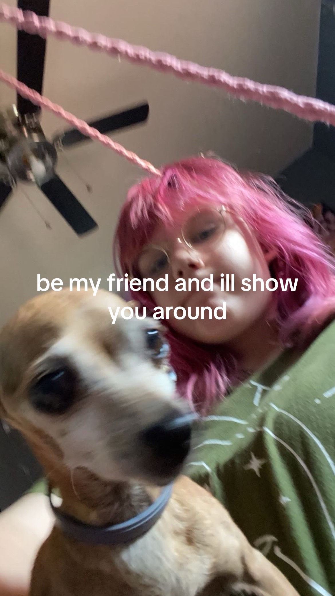 @ᓚᘏᗢ