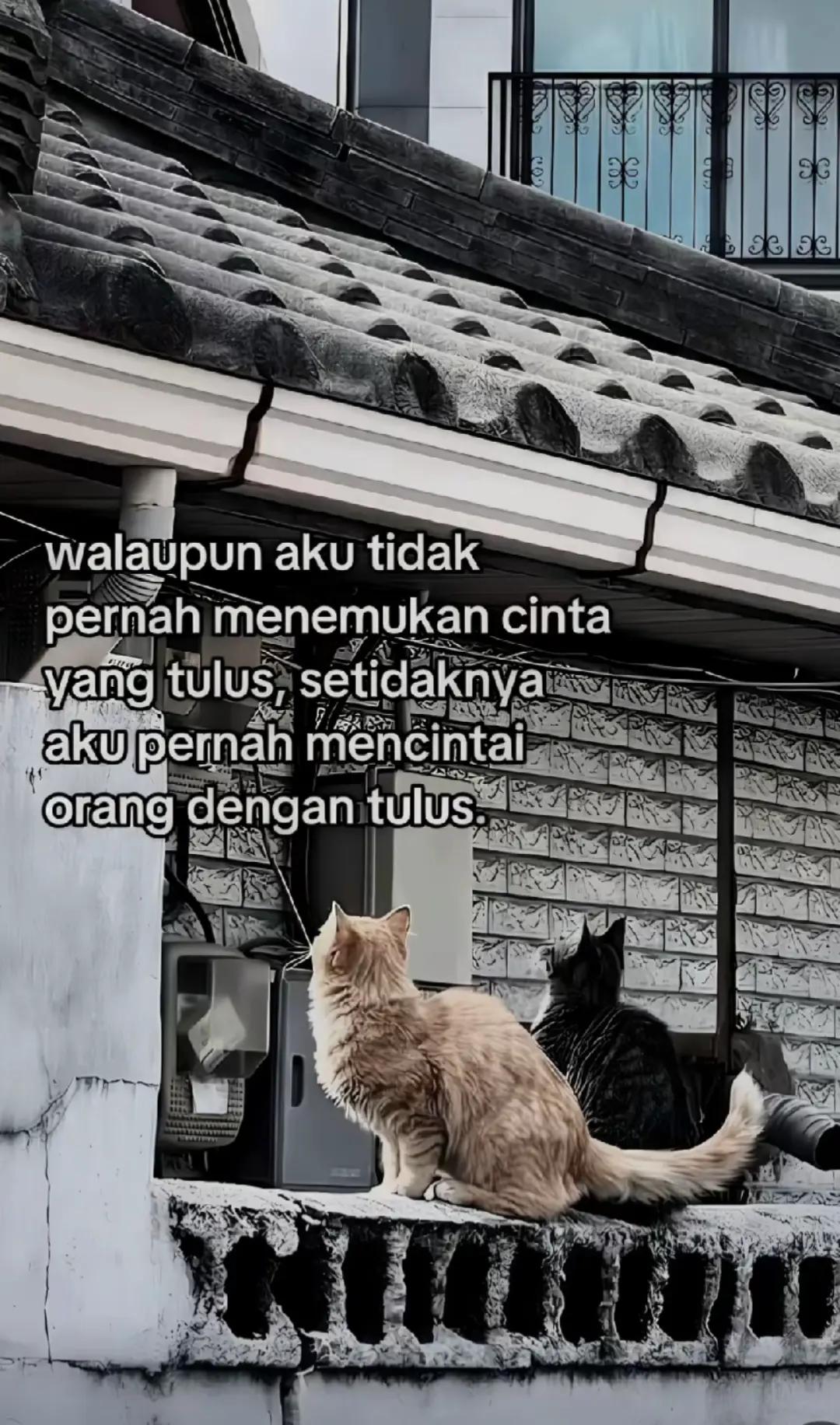 @YunitaAs