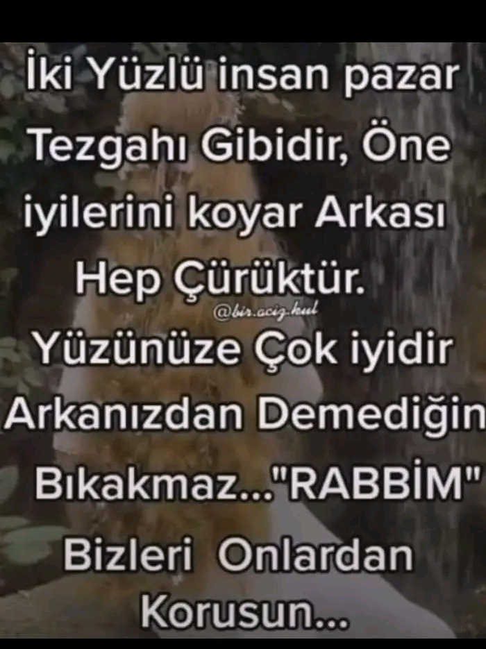 @papatya