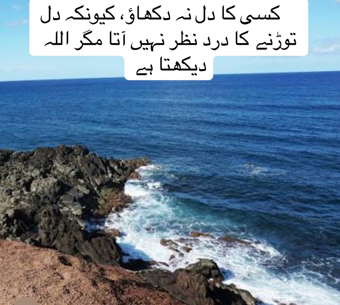 @Monika USA🇵🇰🇺🇸