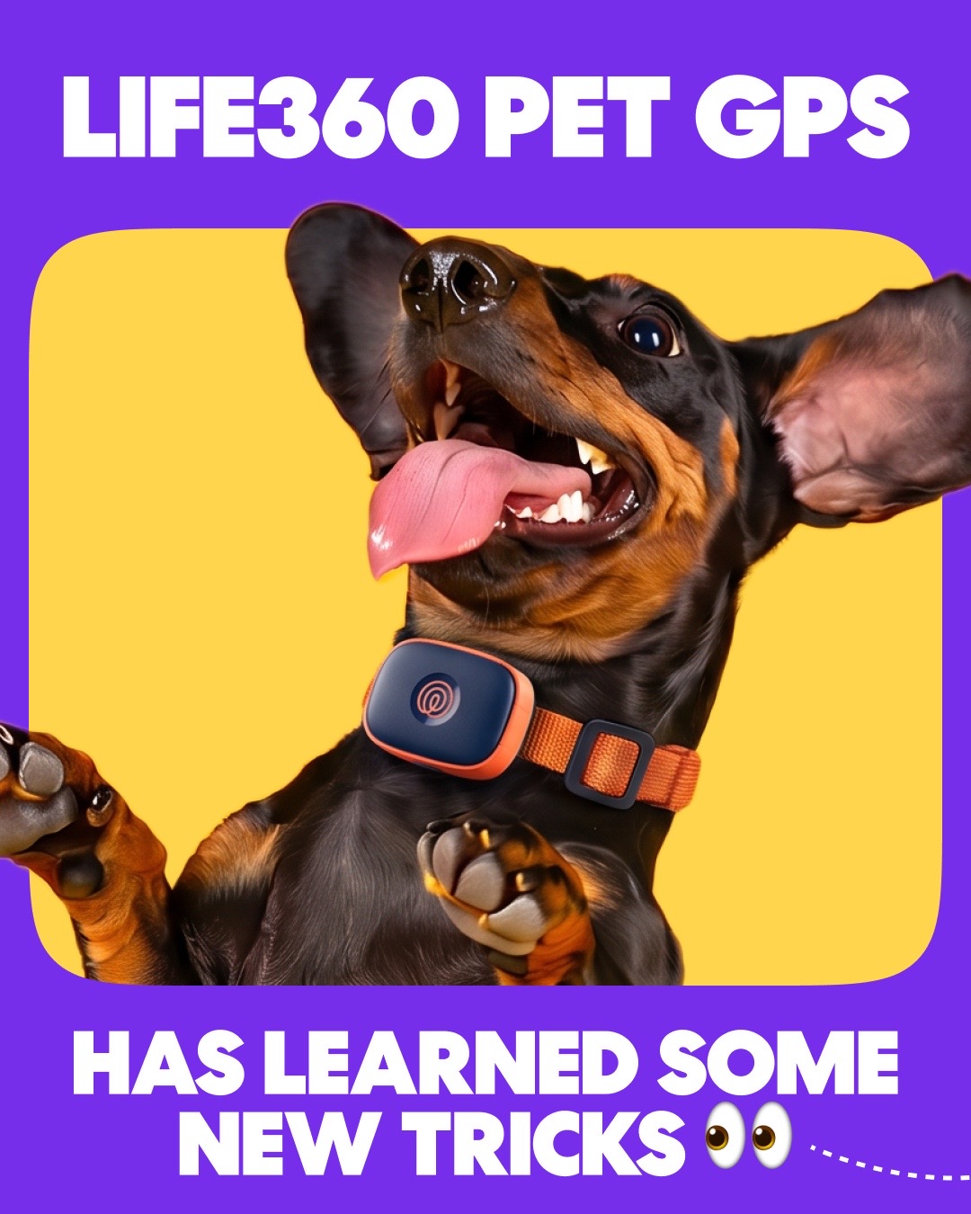 @Life360