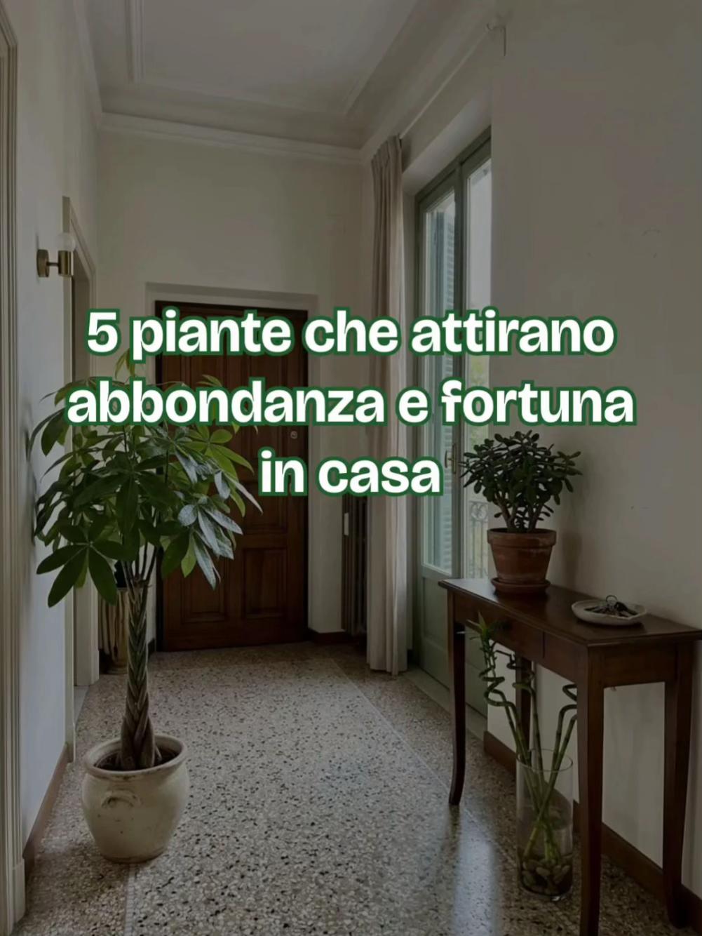 @Anna.dsantis