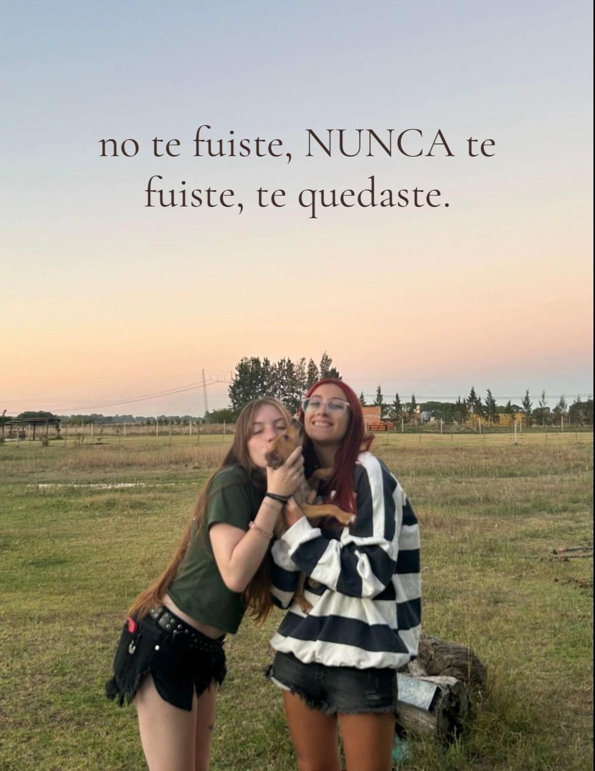 @cande 🪩