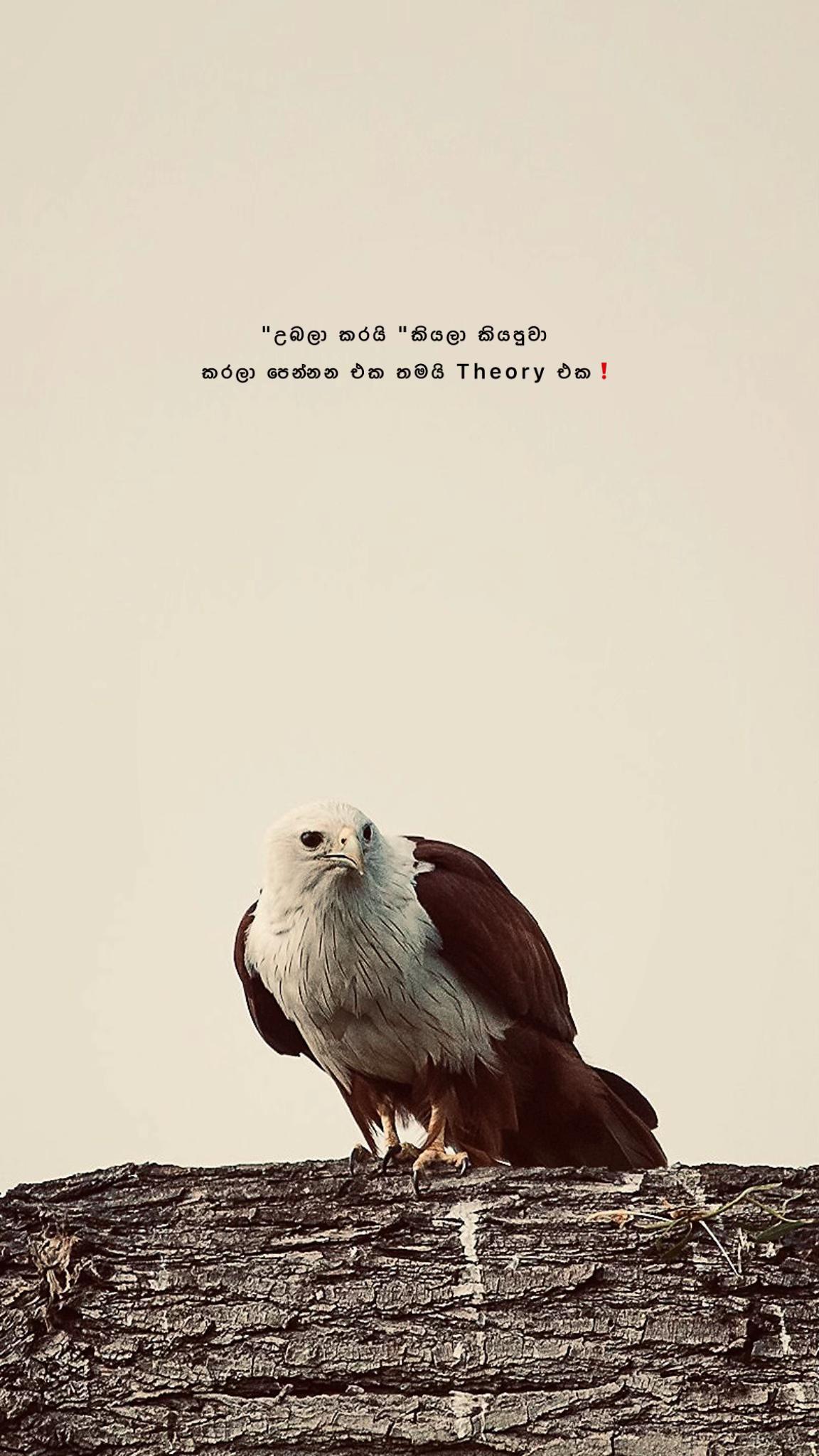 @Diary of Ravindu ๐๐๐จ"