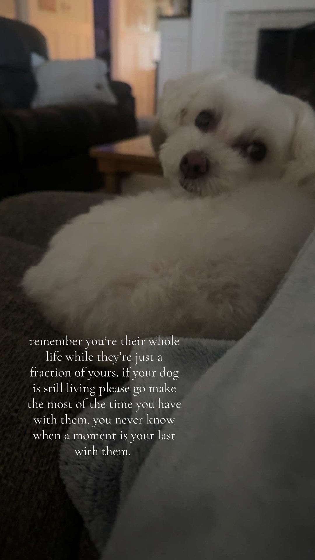 @✨💫𝑅𝒶𝓎𝓎𝓎💫✨
