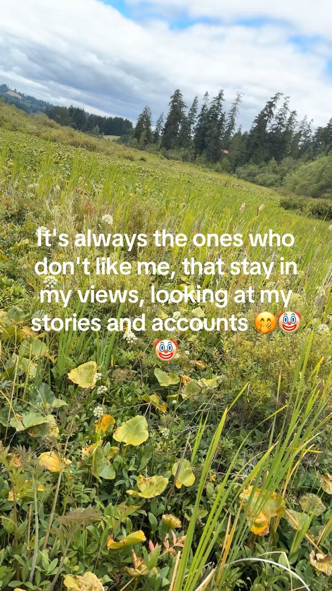 @Ashlee🖤