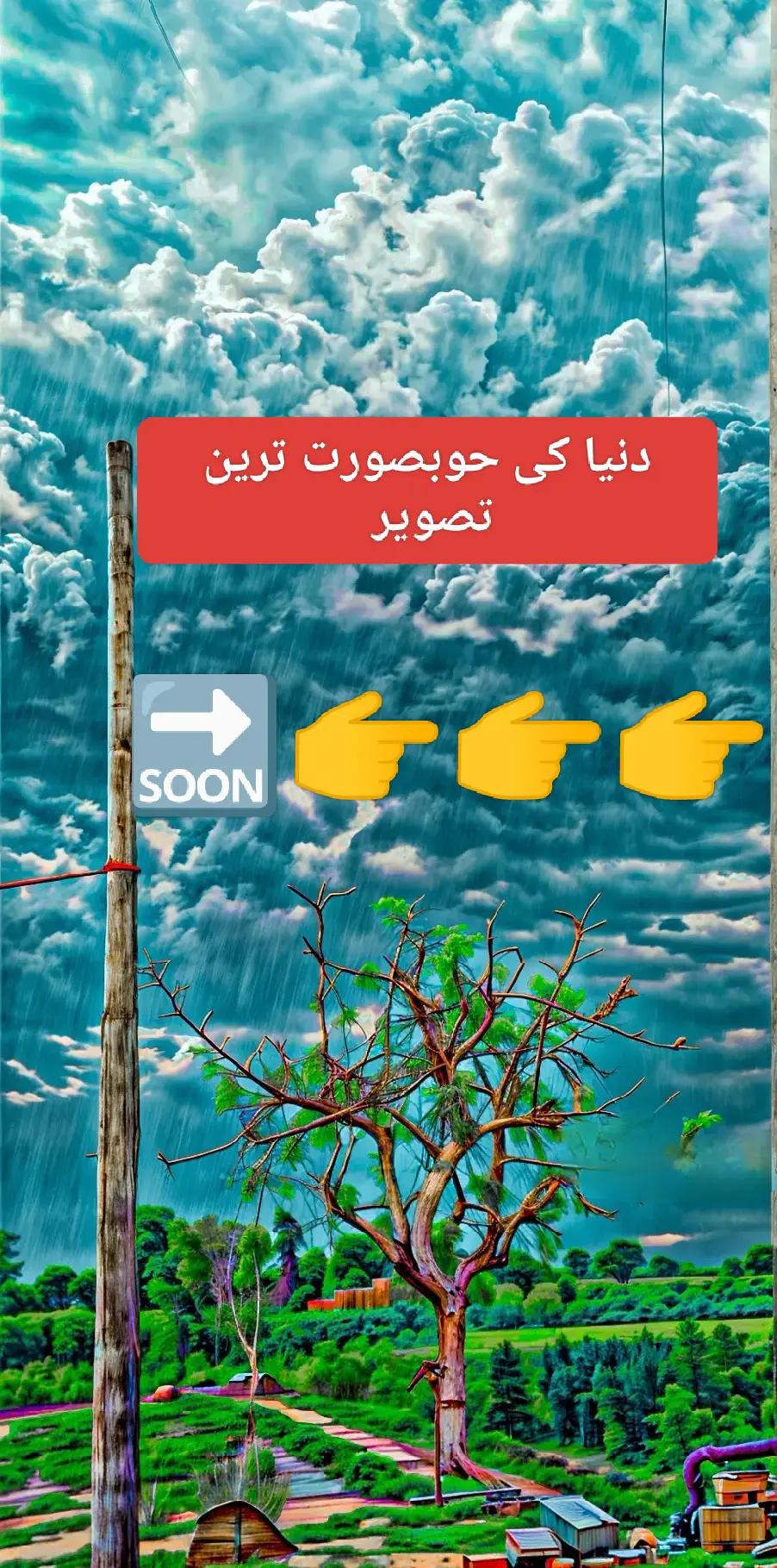 @@mano_abbasi_110