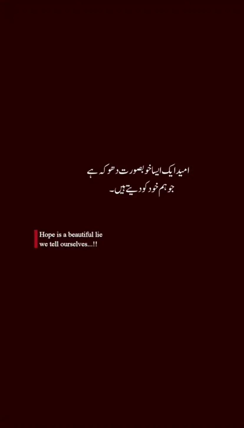 @M Naveed 🫀🌺