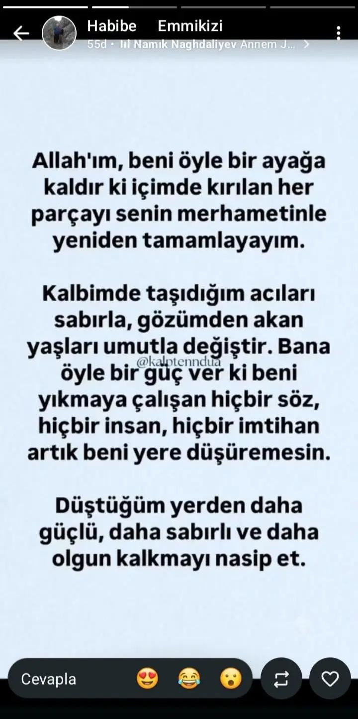 @Raziye Erim