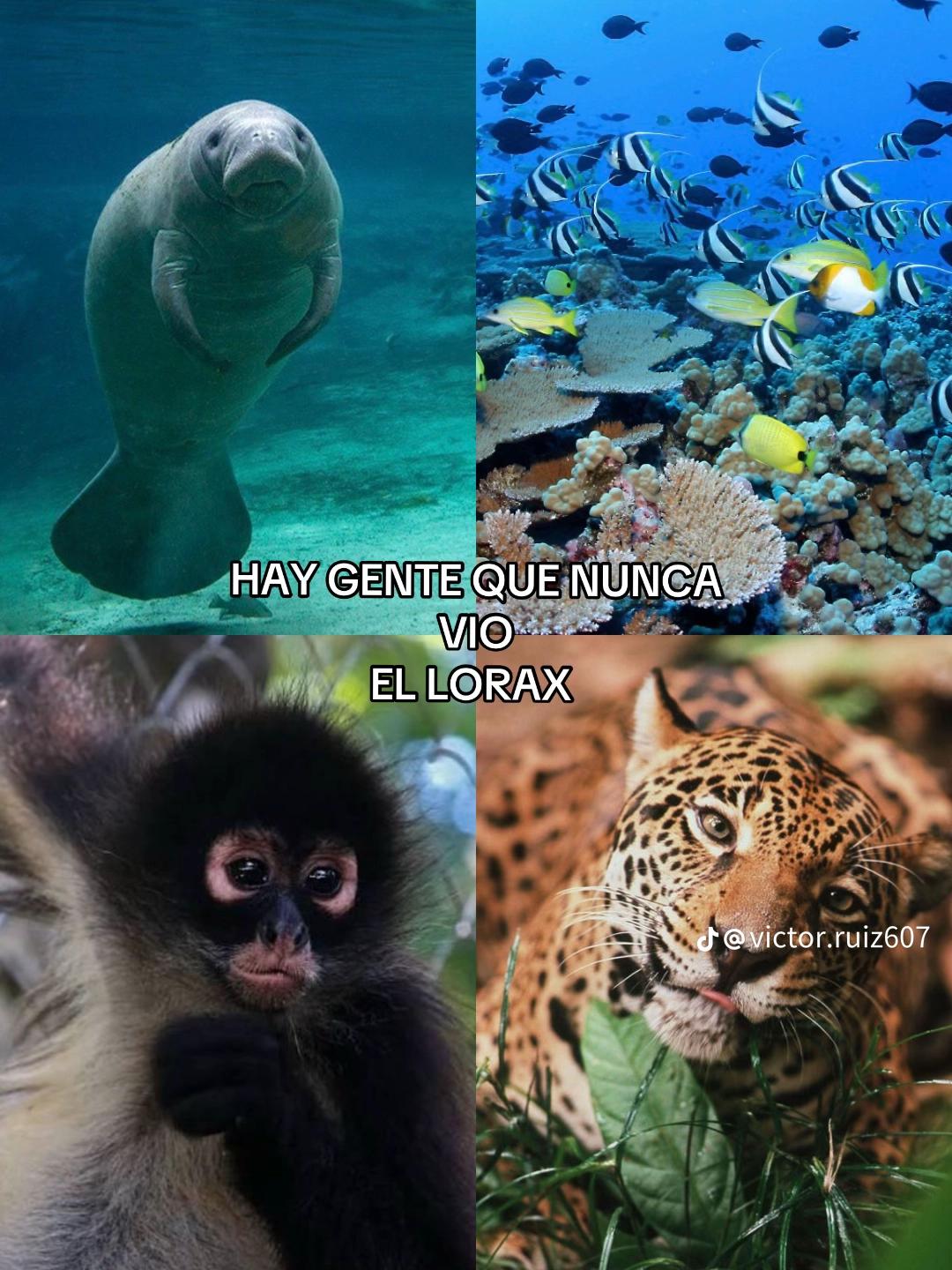 @GONZÁLEZ