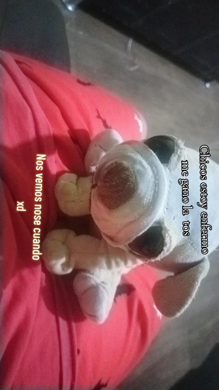 @acompa&ntilde;ame nuestras aventuras