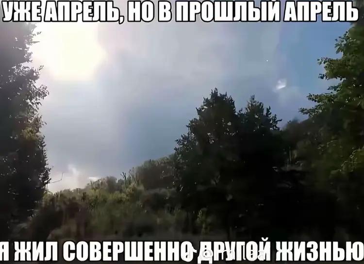 @mariika