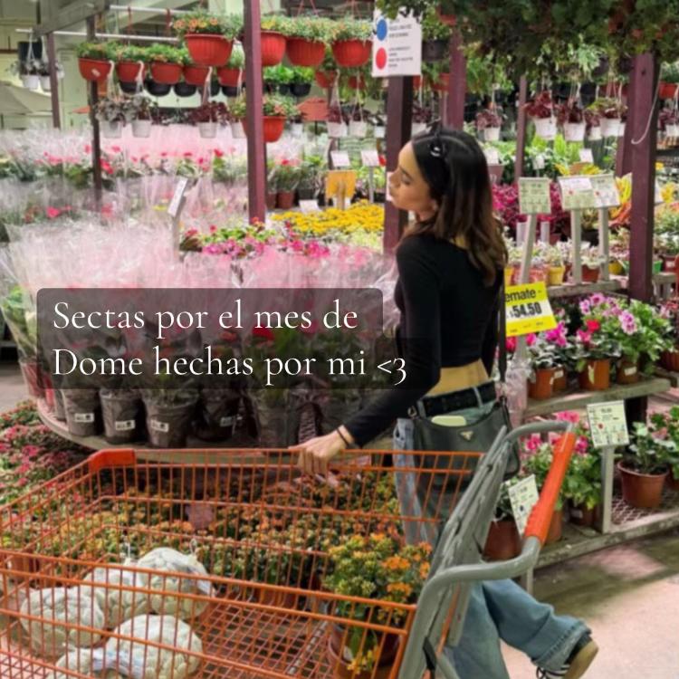 @Secta arcoiris