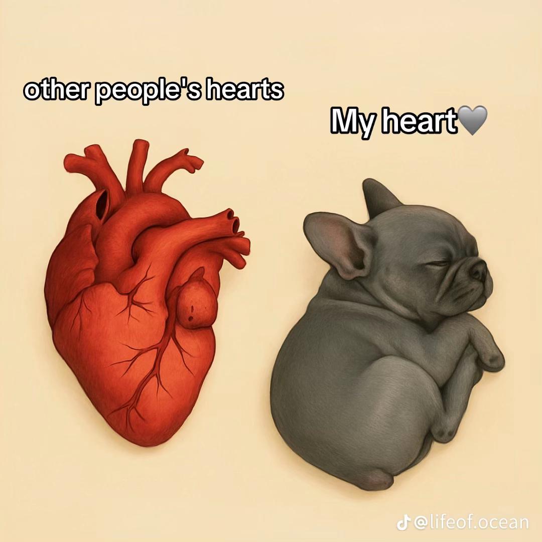@_.corinnepitzalis._