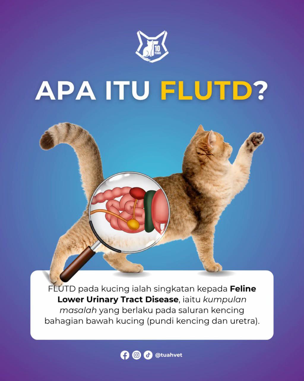 @Tuahvet