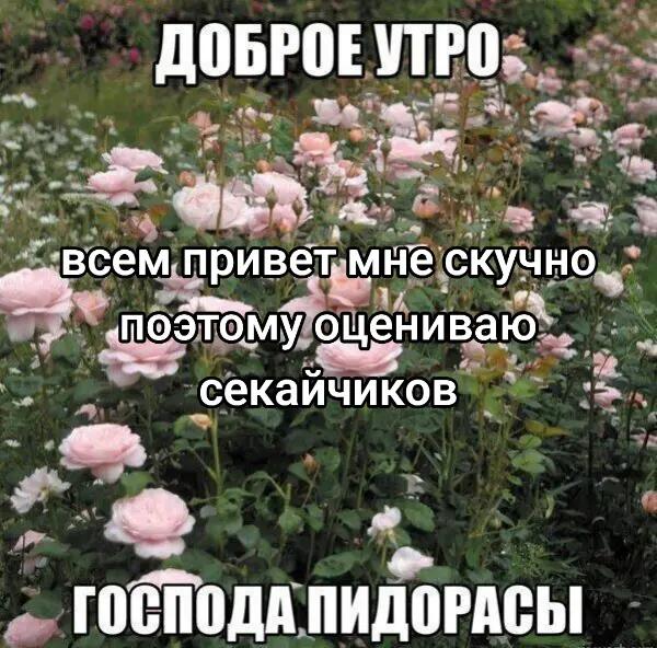 @гидросфера