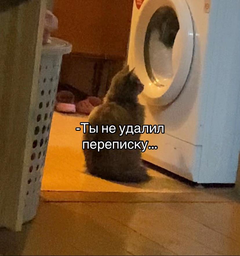 @🎀даха🎀