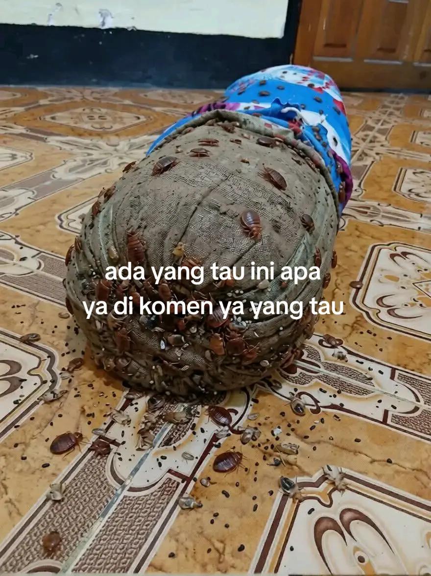 @@pendosa ingin bertaubat276👳