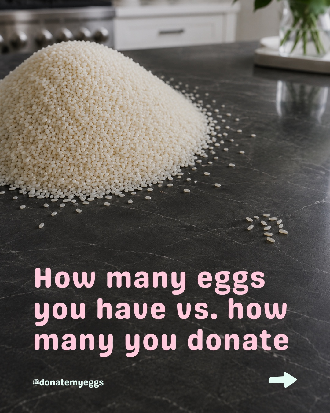 @DonateMyEggs