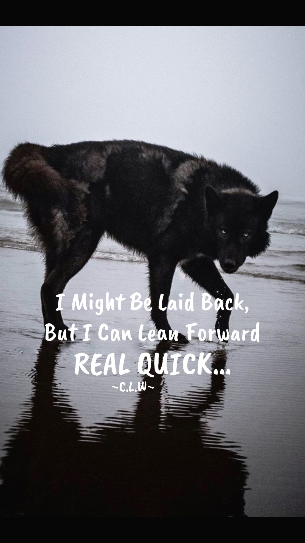 @🪬Conscious_LoneWolf🐺
